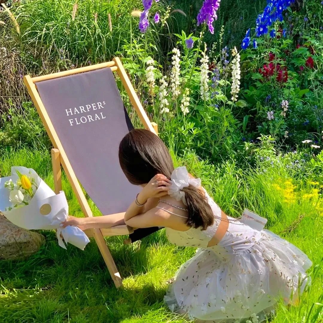 天道金榜公布我威震九州