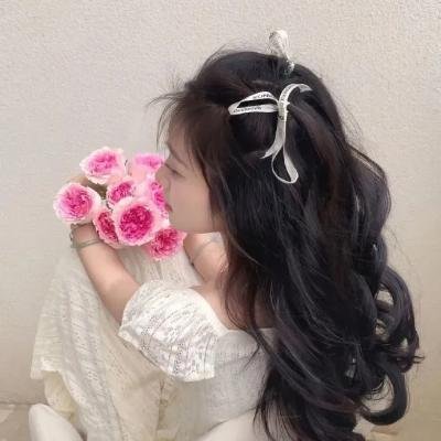 湖畔的女人们 海报